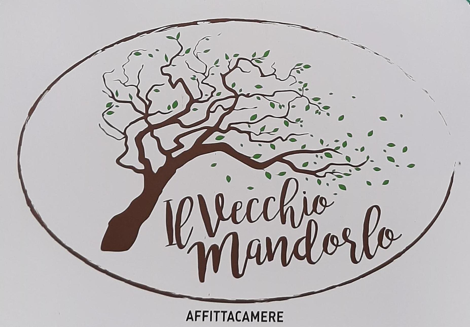 Affittacamere Il Vecchio Mandorlo Quarrata Ngoại thất bức ảnh